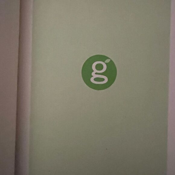 The Green Book - Picture 2 of 3